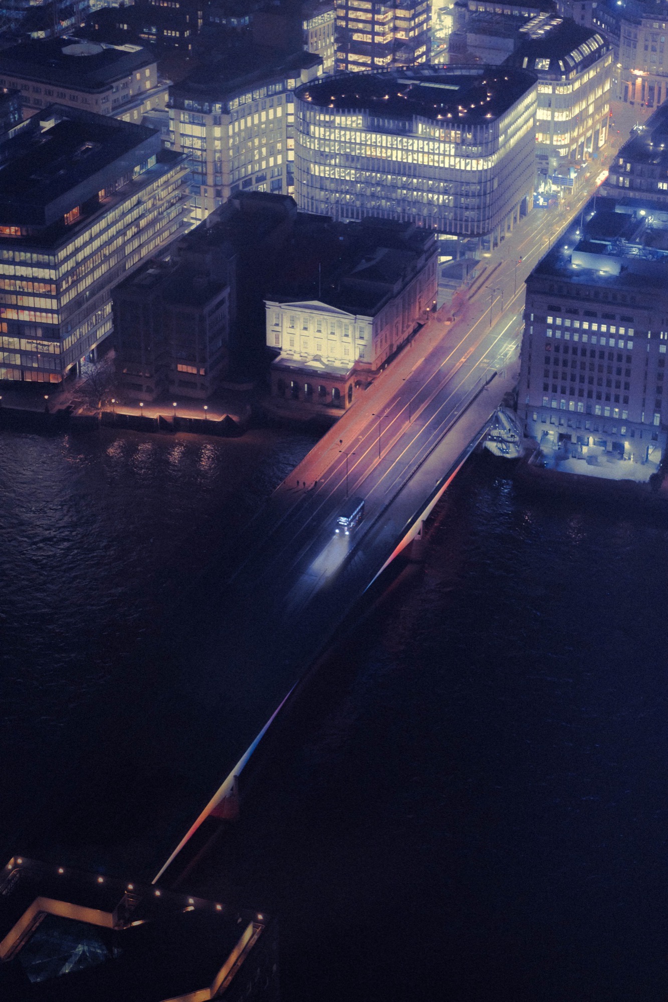 Cityscape photography - pink blossom tree