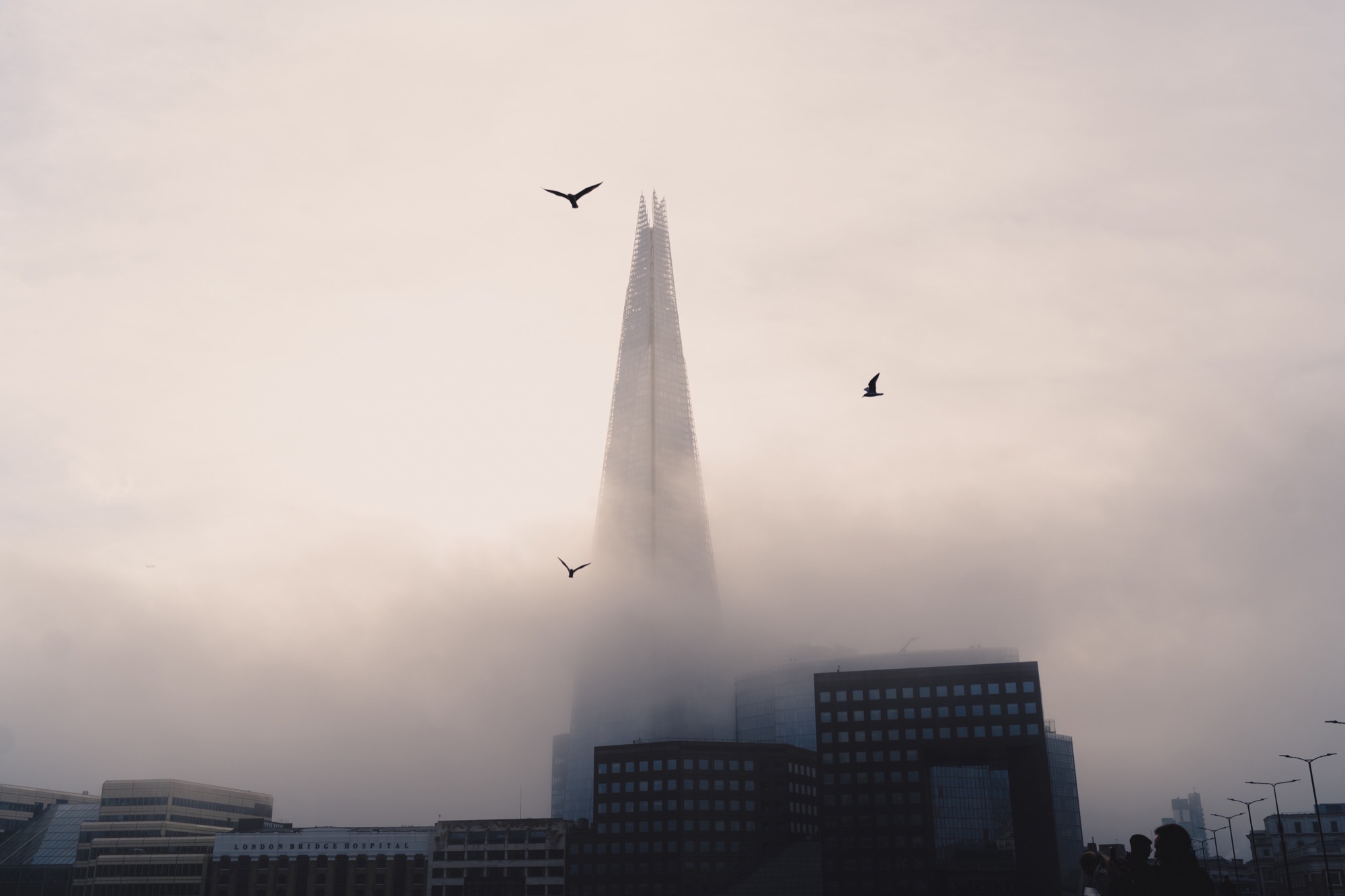 Cityscape photography - The Shard in fog with birds