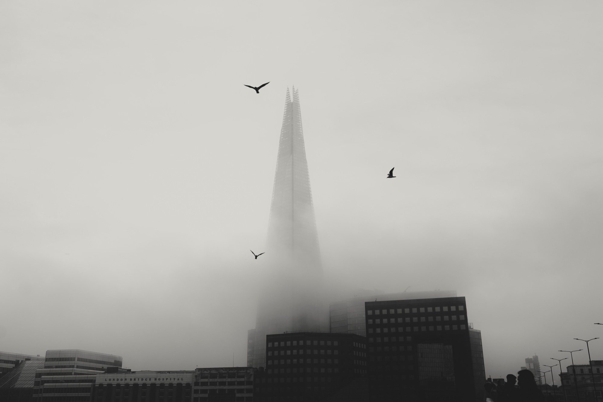 Cityscape photography - Shard fog with birds alternative