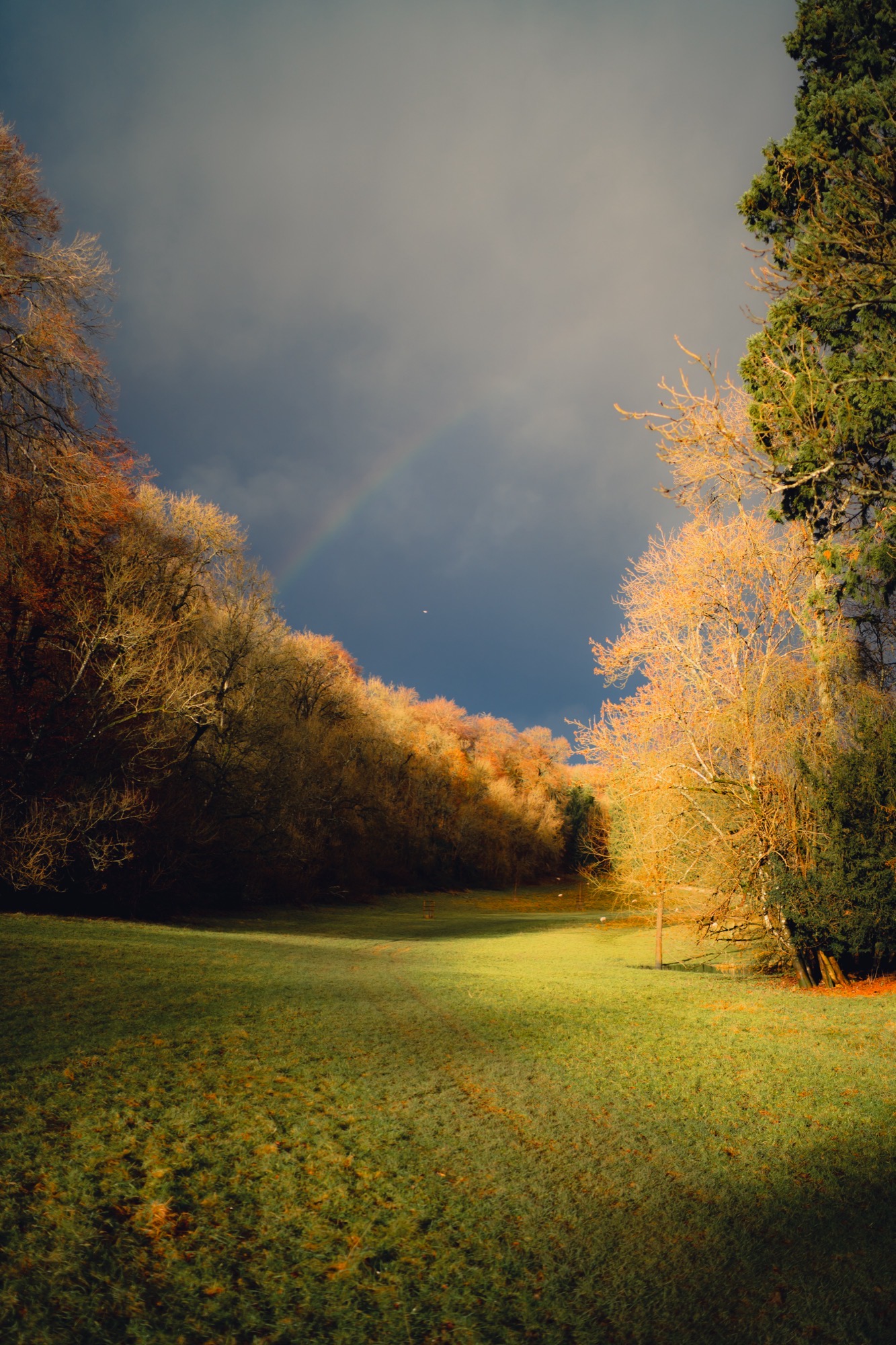 Landscape photography - autumn trees with rainbow