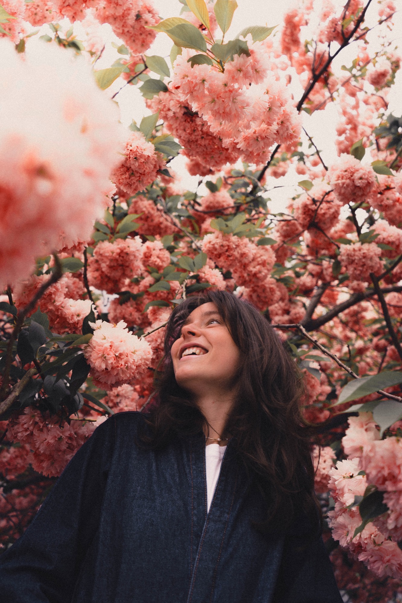 Portrait photography - woman under cherry blossoms
