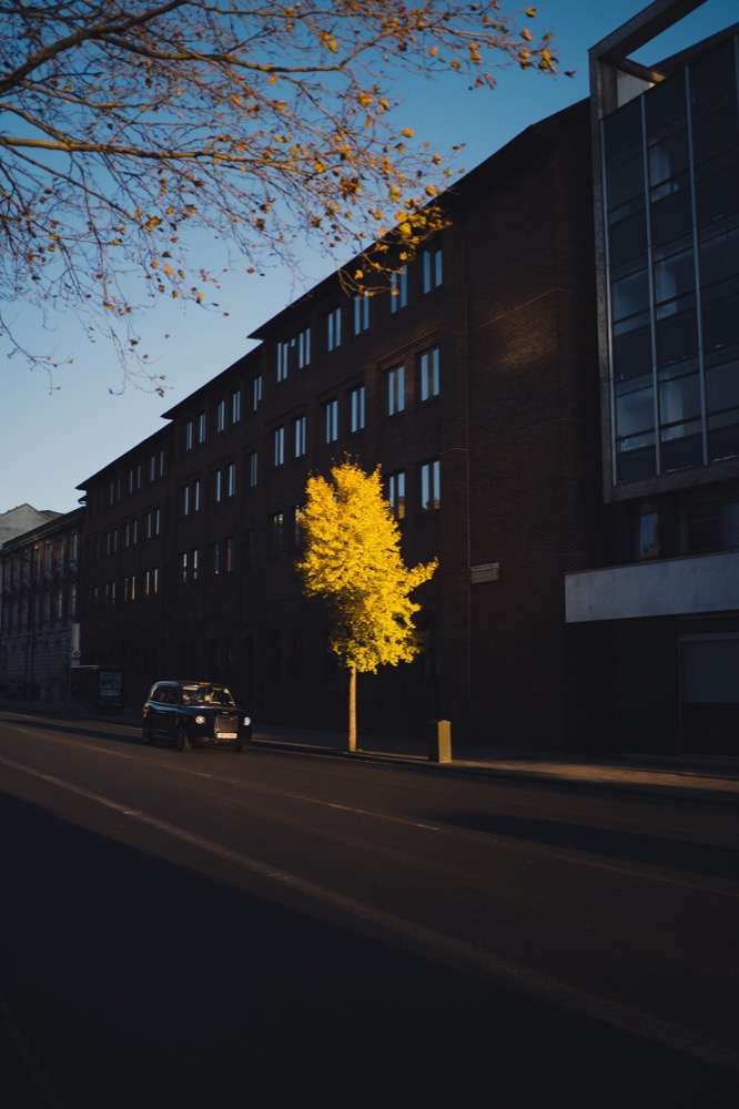 Cityscape photography - autumn street