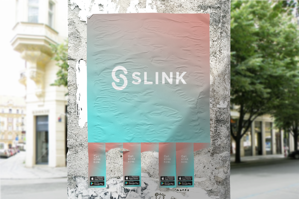 SLINK - Image 6