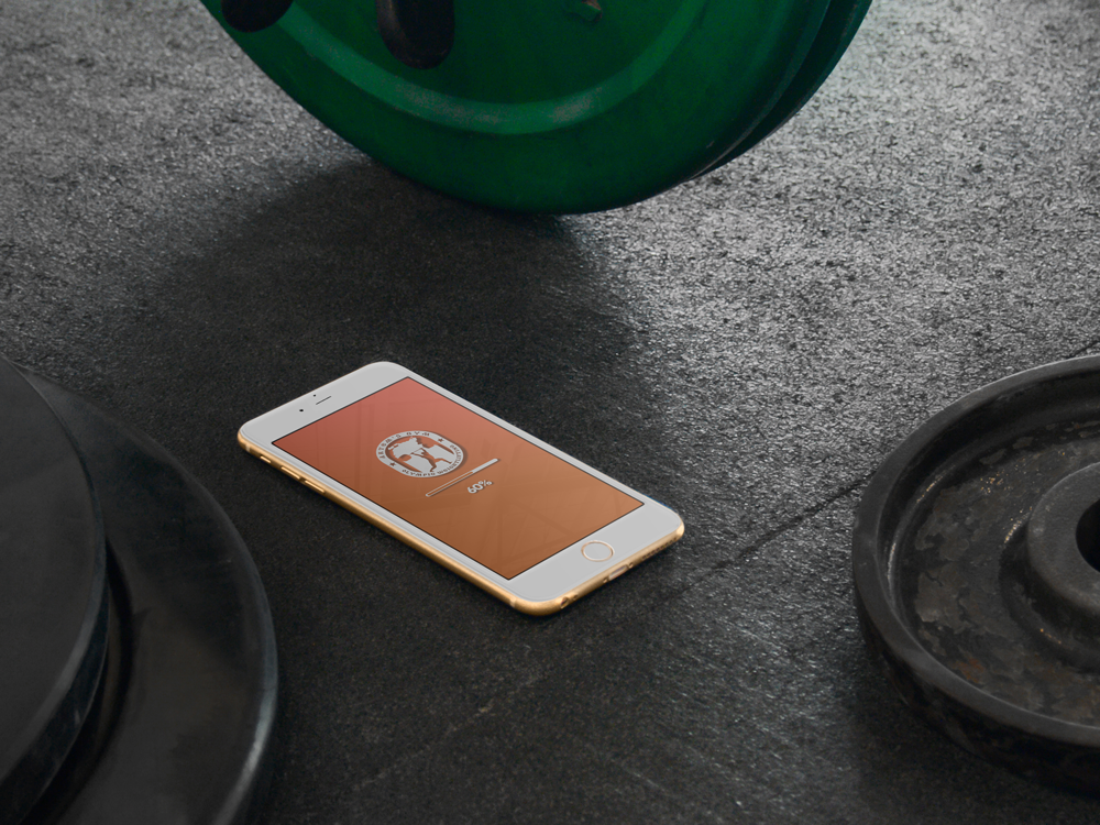 Artems Gym - Image 2